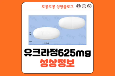 유크라정 625mg 성상 정보 이미지