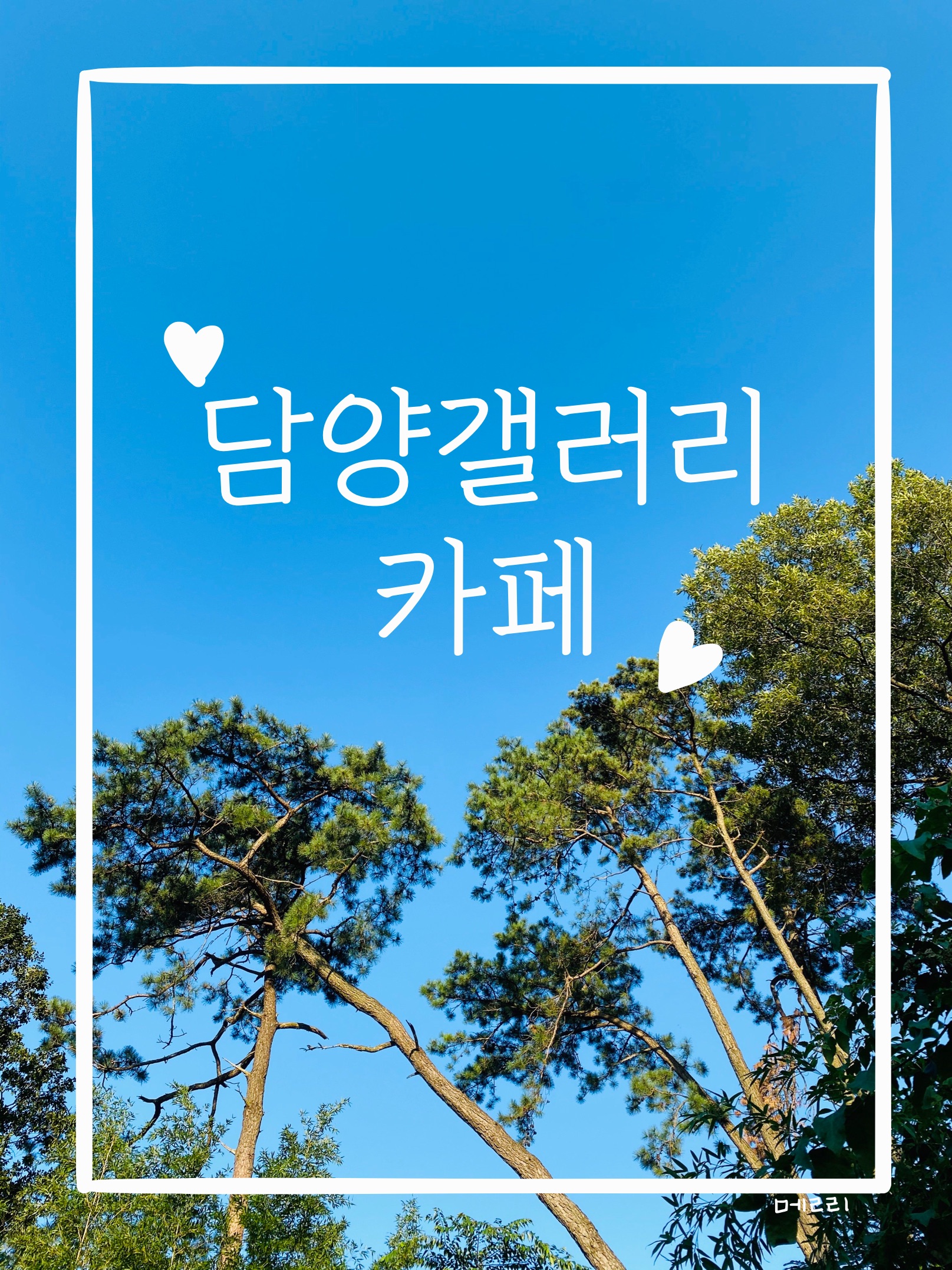  [전남/담양]담양갤러리