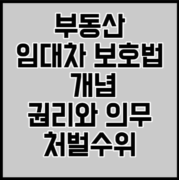 부동산 임대차보호법의 개념 및 권리와의무 처벌수위