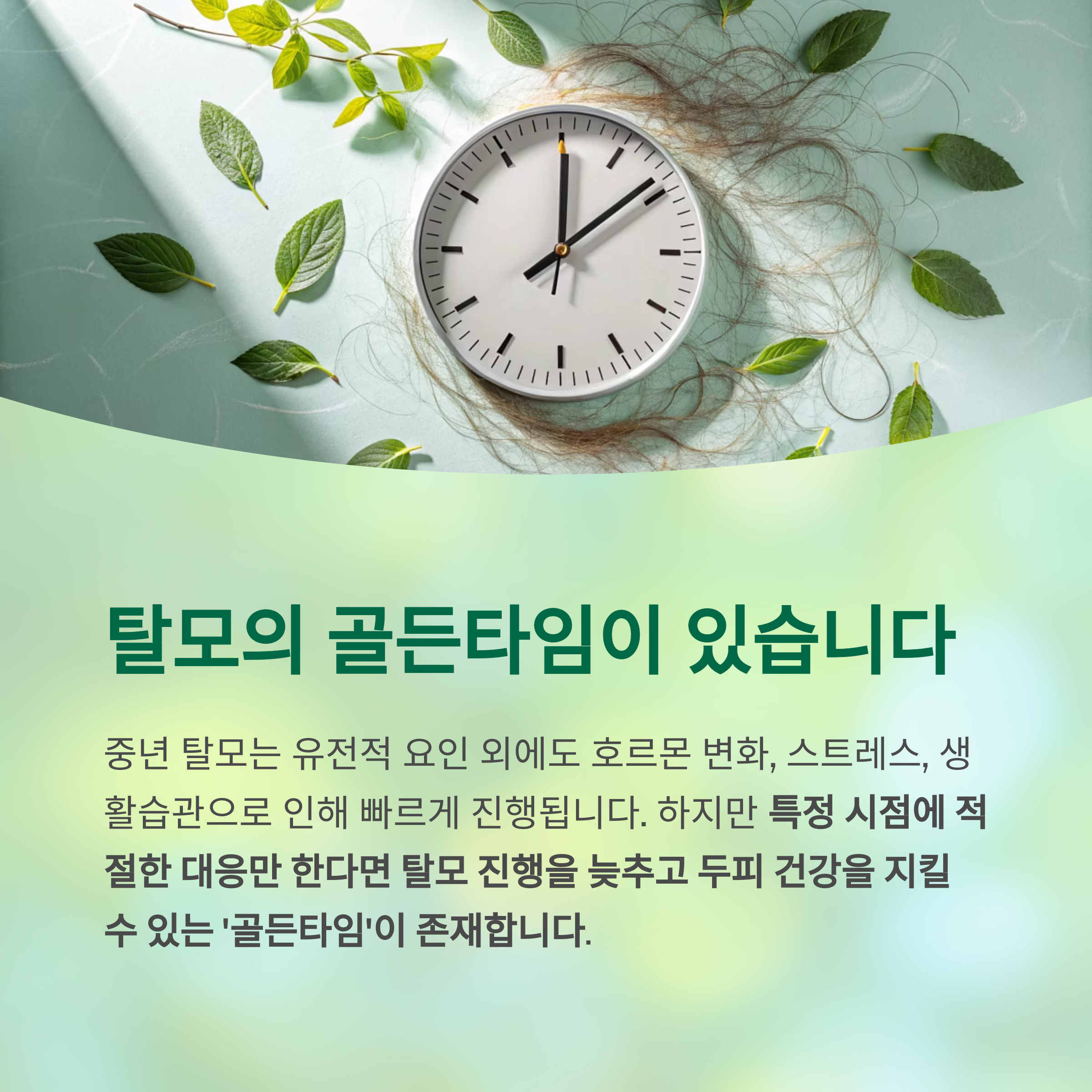중년 탈모, '골든타임' 안 놓치면 막을 수 있습니다 - 중년 탈모, 예방이 가능한 골든타임이 존재합니다 중년 탈모, '골든타임' 안 놓치면 막을 수 있습니다 - 중년 탈모, 예방이 가능한 골든타임이 존재합니다