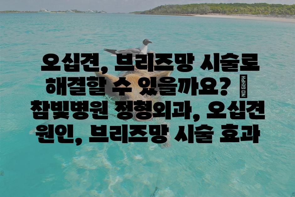 샘플 (1)