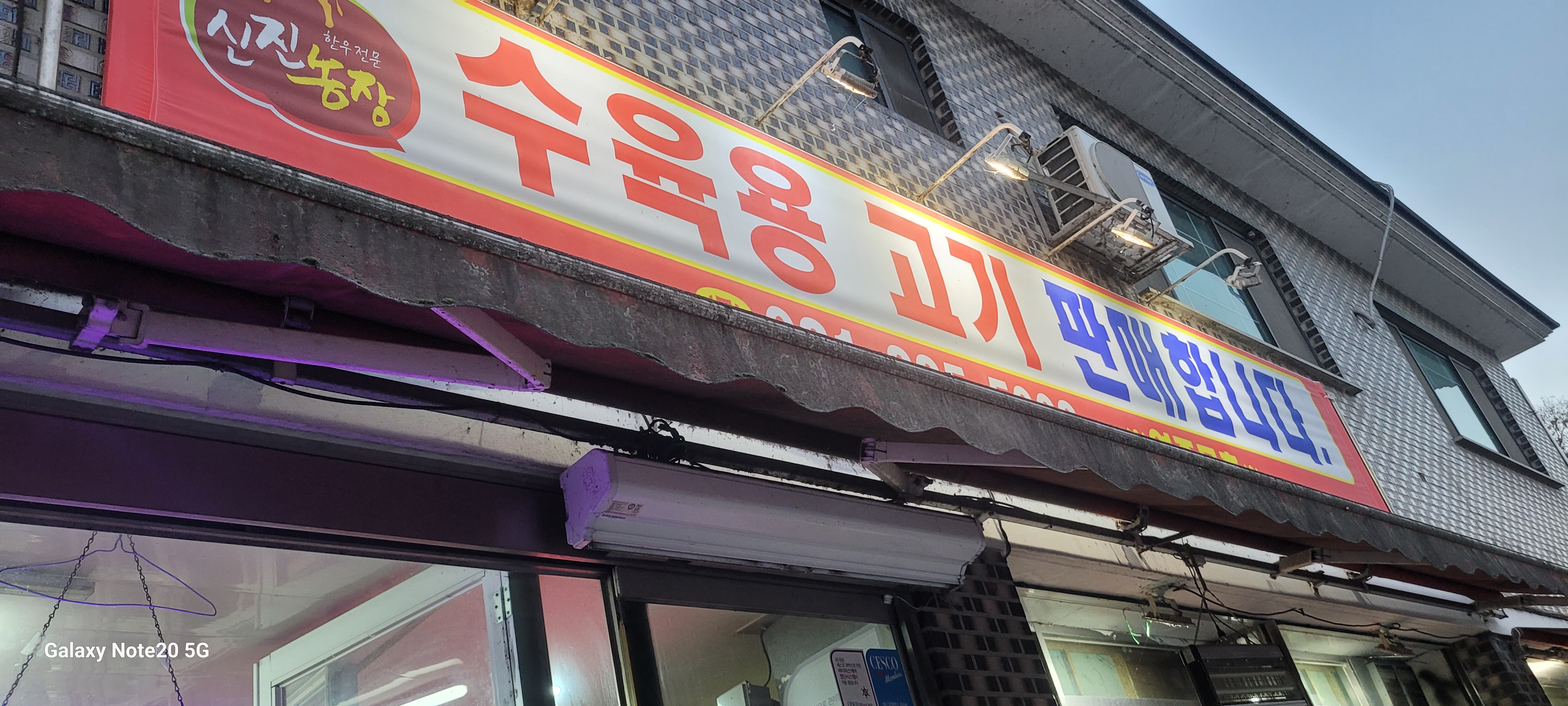 신진정육점 이미지