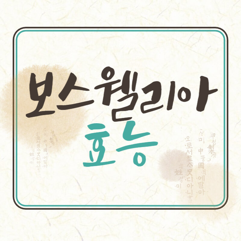  보스웰리아 효능