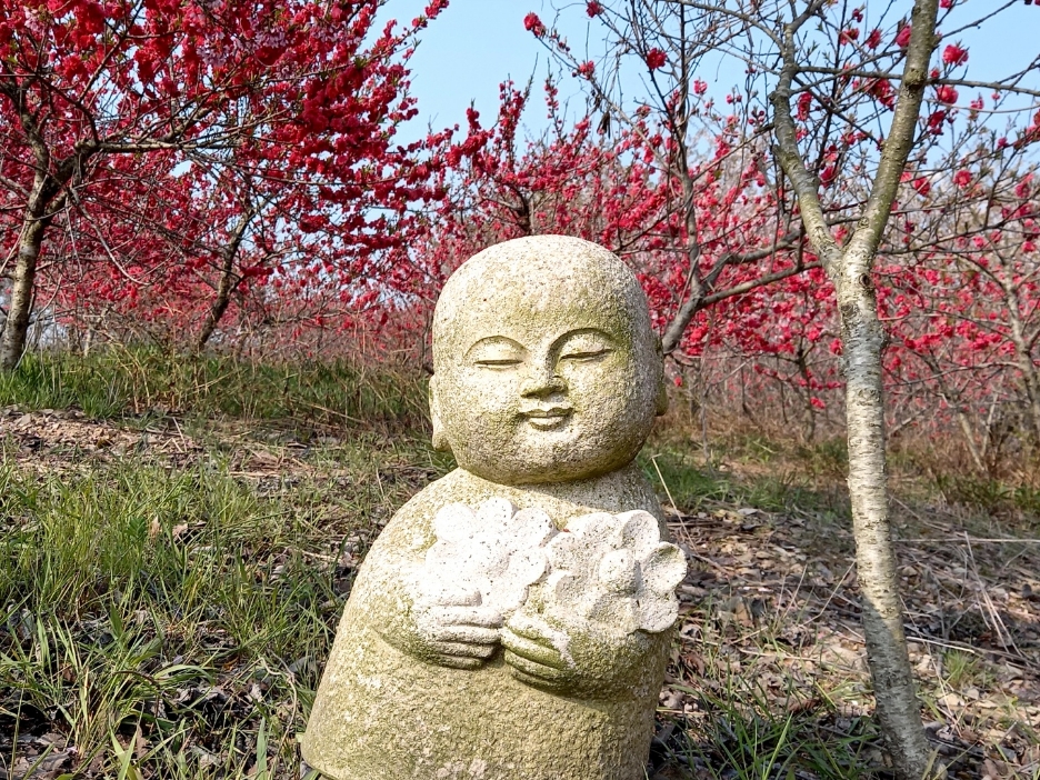 img.jpg