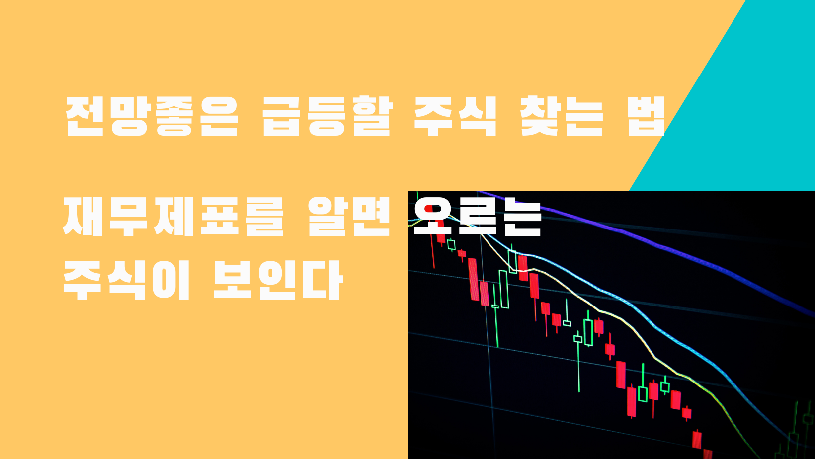  전망 좋은 급등 할 주식 찾는 법
