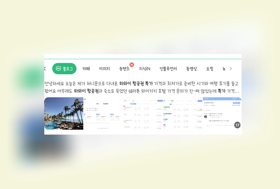 하와이 항공권 특가 예약_1_subsection