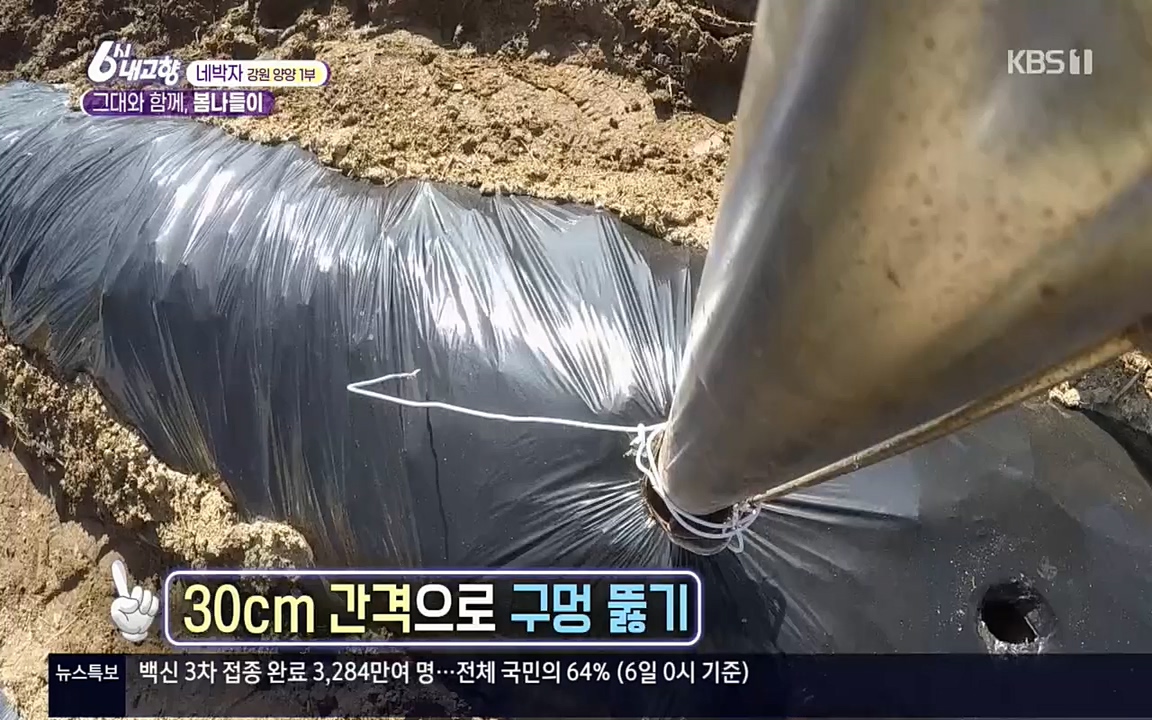 6시 내고향.E7505.220407p.H264-F1RST.mp4_20220411_180239.747.jpg