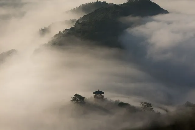 2025 대한민국 수산대전 수산물 세일_2