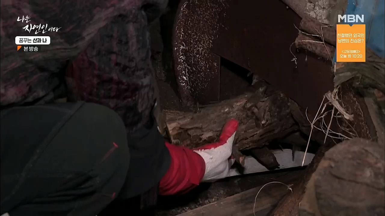 나는 자연인이다.E534.221229p.H264-F1RST.mp4_20221229_200032.300.jpg