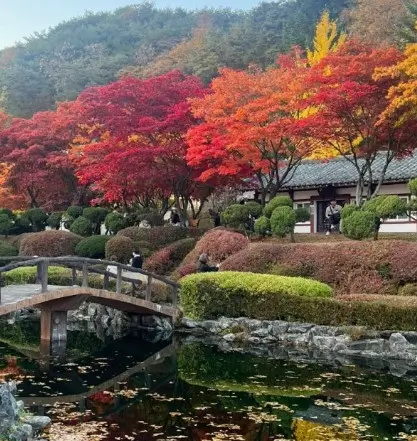 제천 의림지