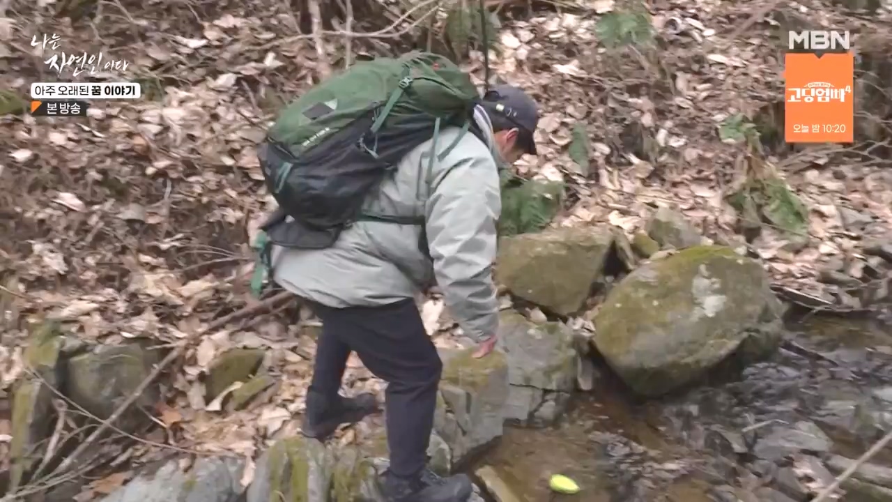 나는 자연인이다.E594.240222p-NEXT.mp4_20240222_195326.927.jpg