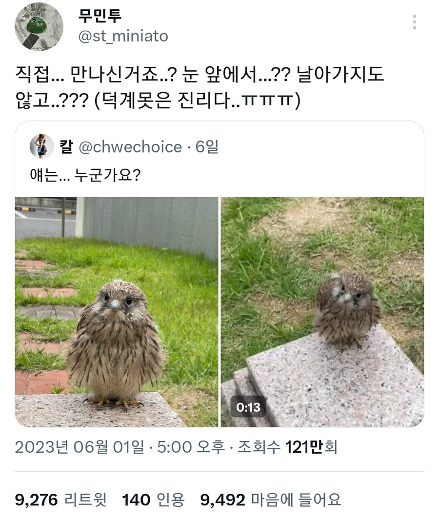 계 이미지