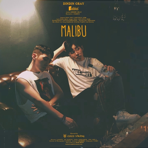  딘딘 (임철) Malibu(Feat. GRAY) 듣기/가사/앨범/유튜브/뮤비/반복재생/작곡작사