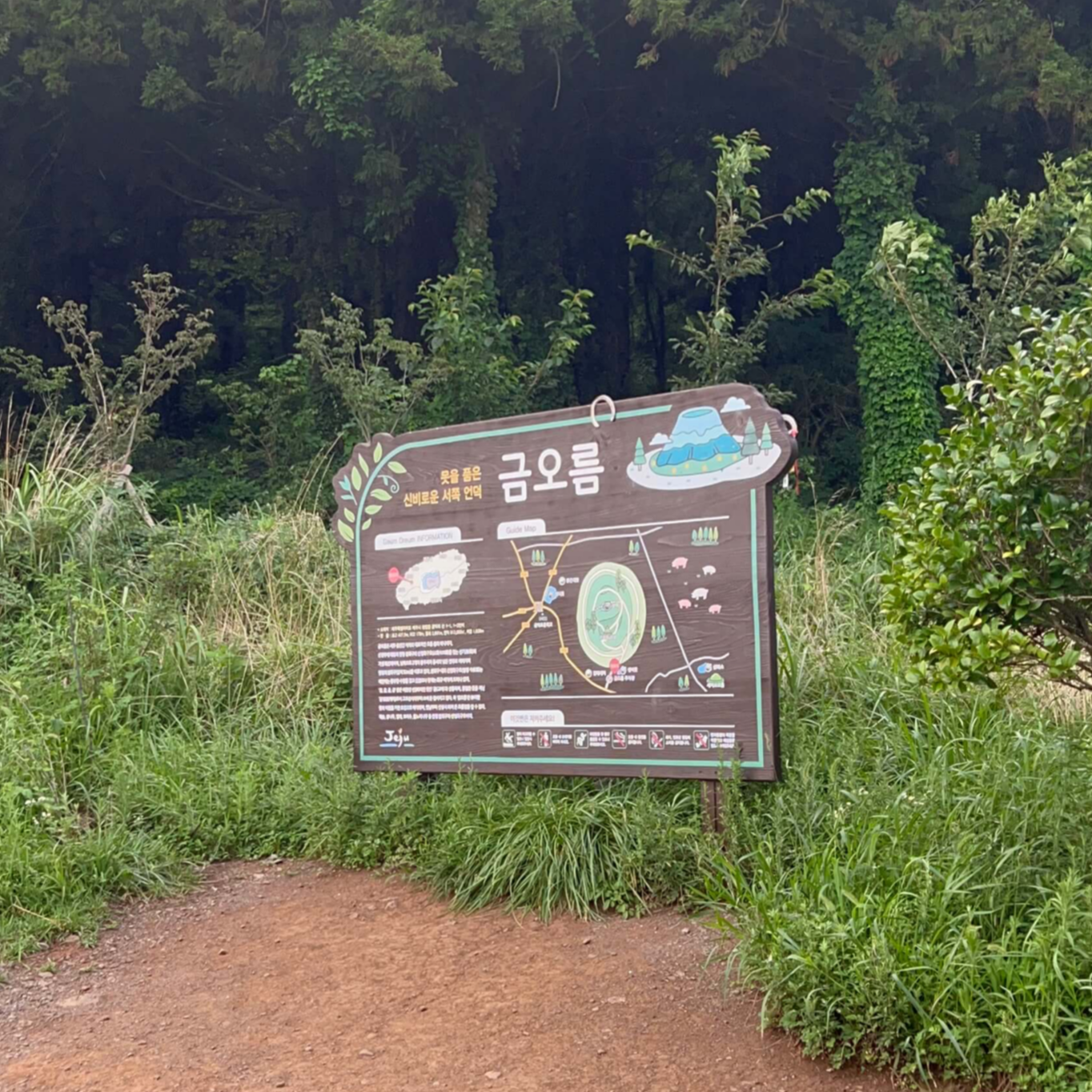 제주도-금오름-입구