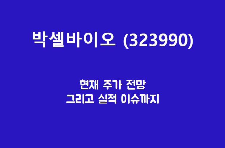  박셀바이오 (323990) 주가, 실적, 전망, 기업분석