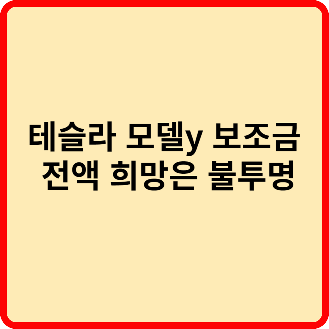 테슬라 모델y 보조금 전액 희망은 불투명