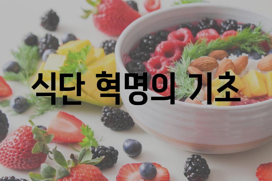 식단 혁명의 기초