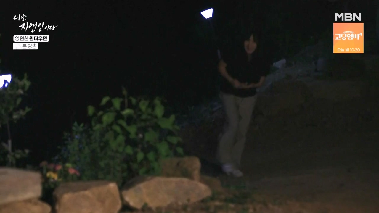 나는 자연인이다.E606.240523p-NEXT.mp4_20240523_195556.137.jpg