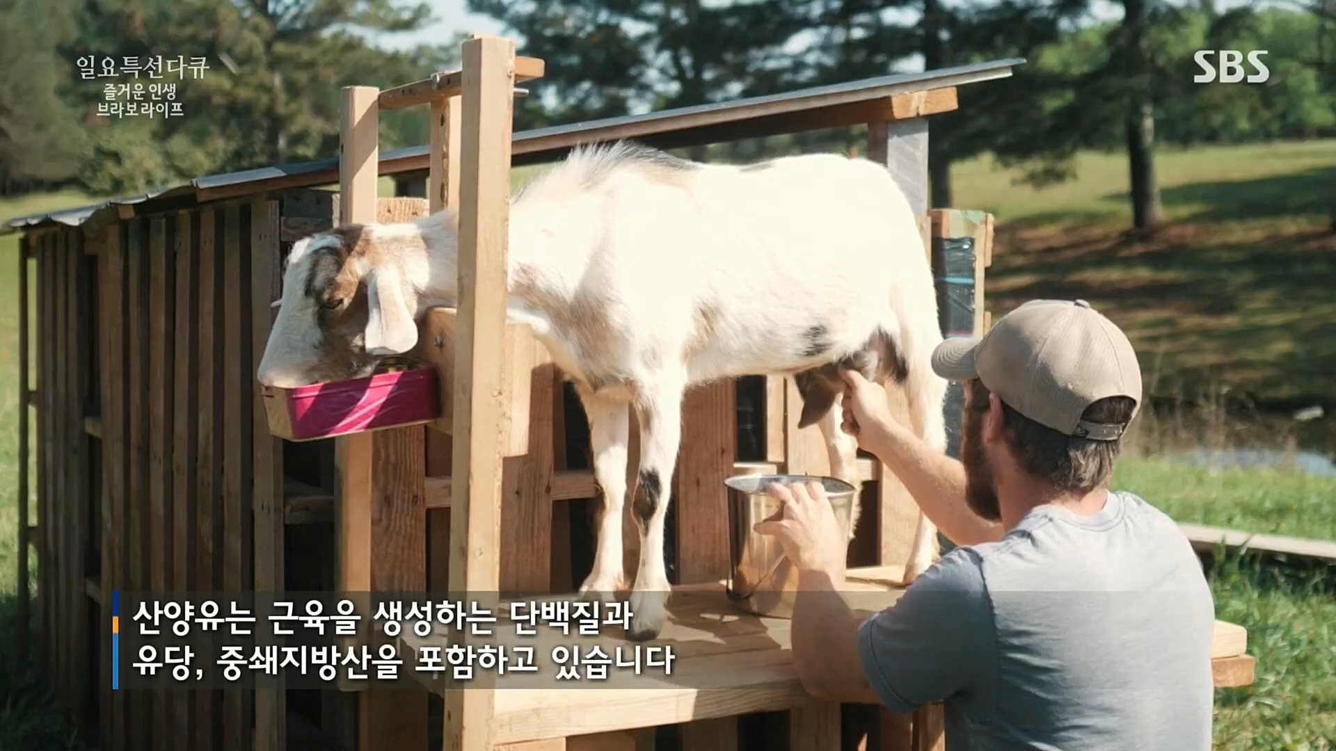 일요 특선 다큐멘터리.E292.221016p.H264-F1RST.mp4_20221018_183617.977.jpg