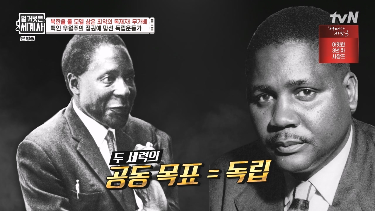 벌거벗은 세계사.E119.231004p-NEXT.mp4_20240511_162736.110.jpg