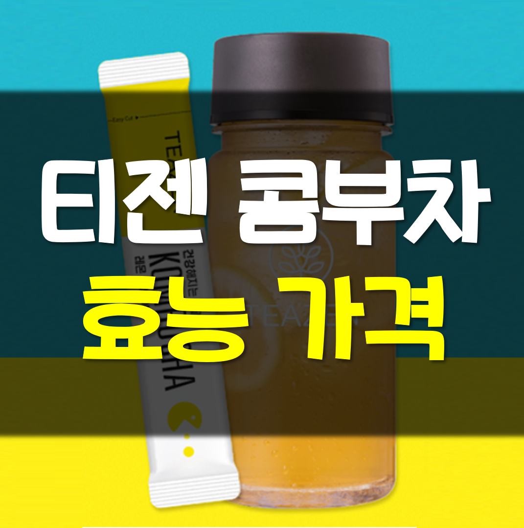  티젠 콤부차 효능 가격
