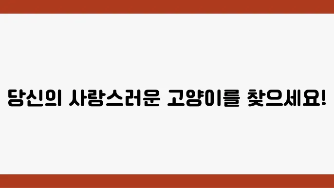 예쁜 고양이 종류 TOP 5 입양하기 좋은 고양이