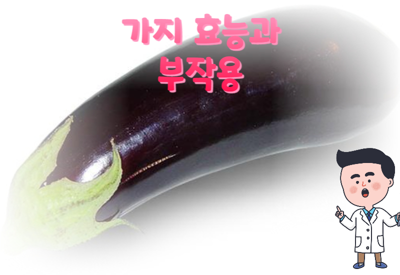  가지의 효능과 부작용