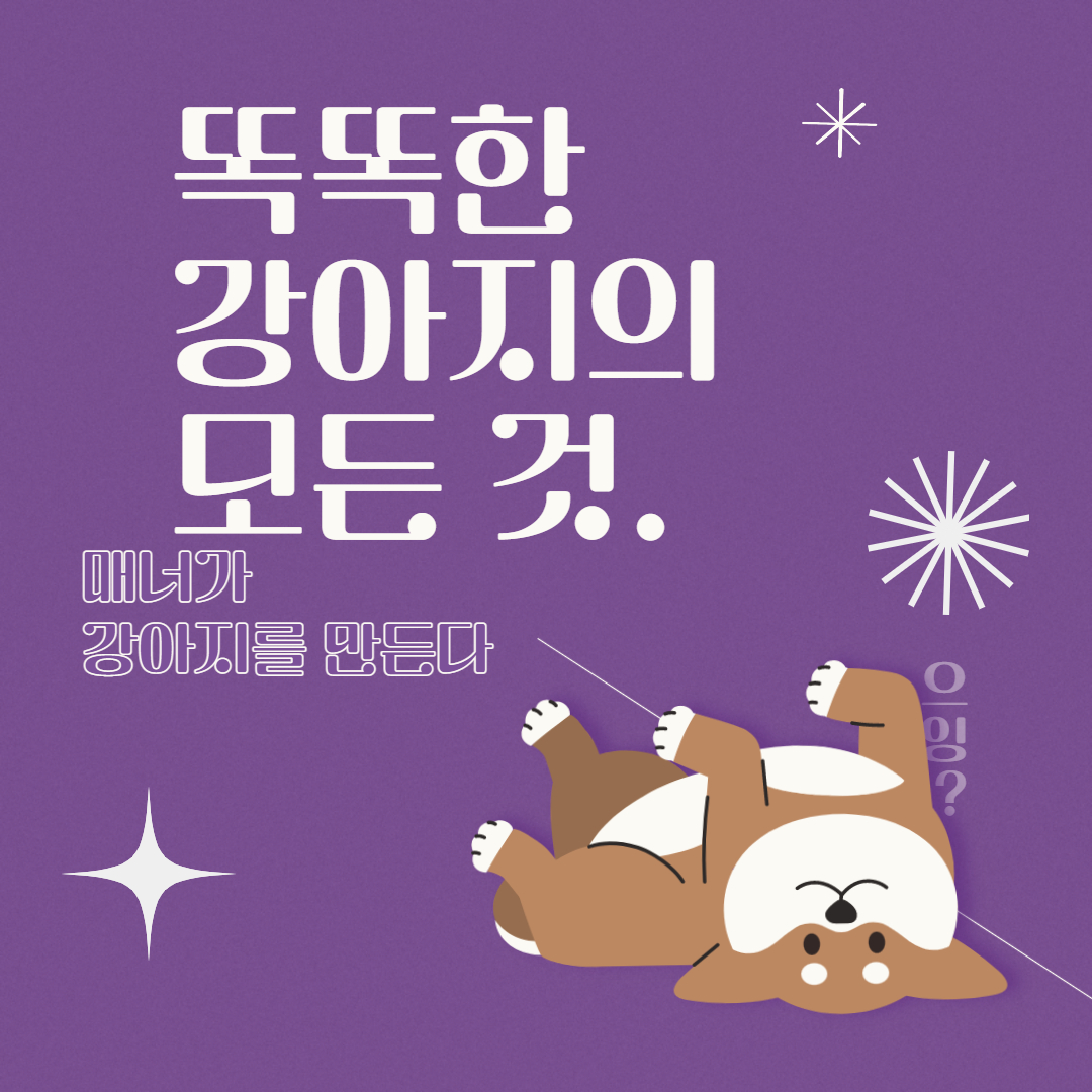  똑똑한 댕댕이가 되는 행동 심리 교육