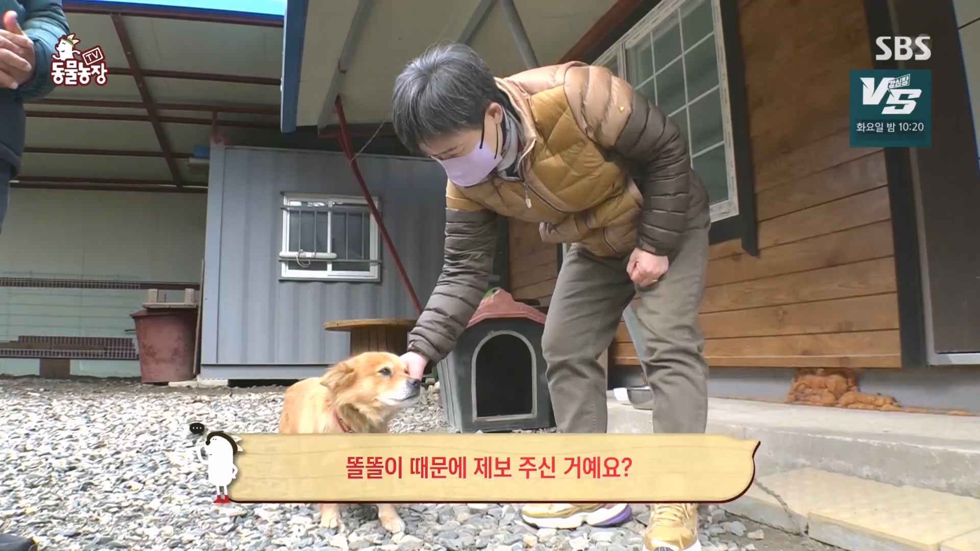 TV 동물농장.E1149.231210p.H264-F1RST.mp4_20231210_171058.939.jpg