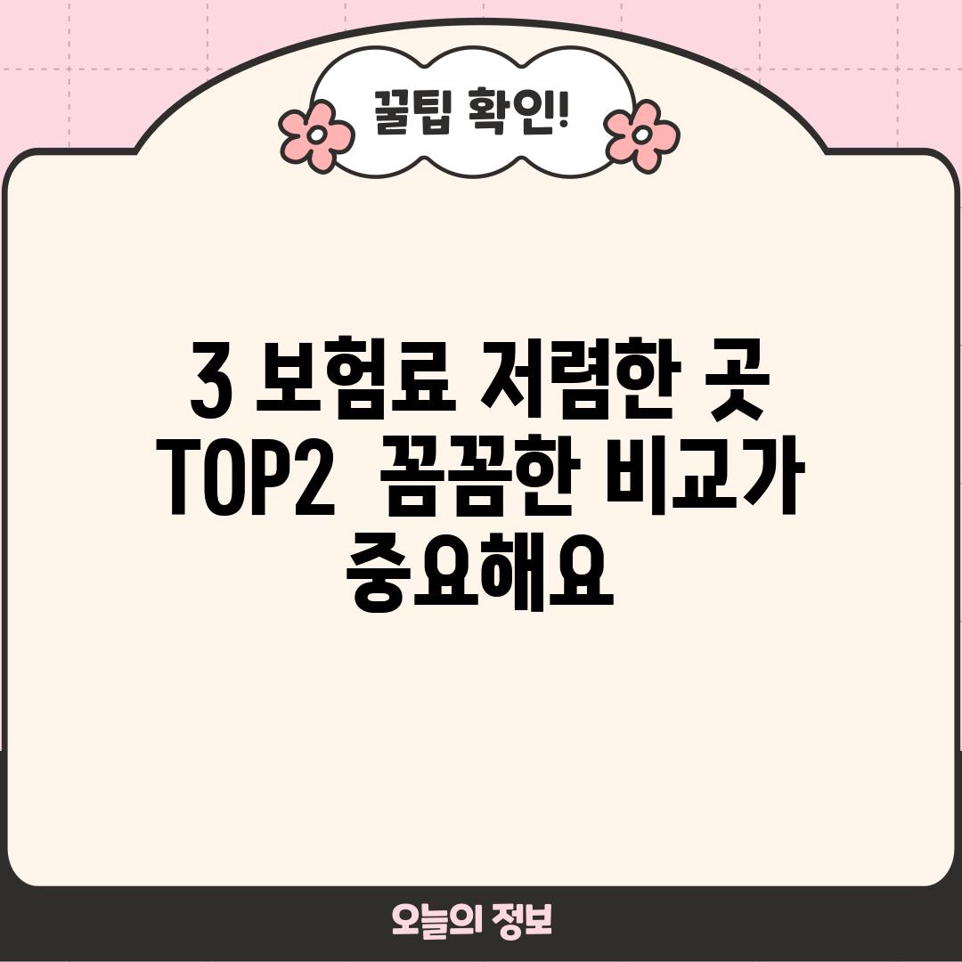 3. 보험료 저렴한 곳 TOP2:  꼼꼼한 비교가 중요해요!