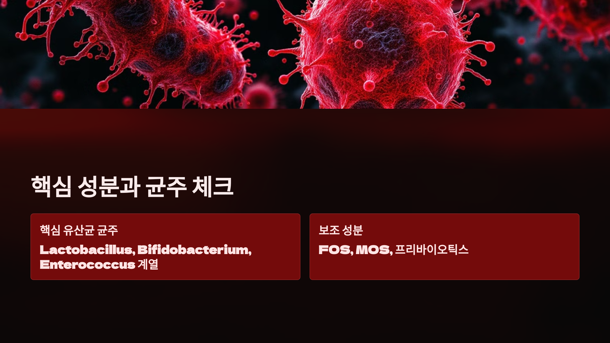 핵심 성분과 균주 체크를 설명한 PPT 이미지