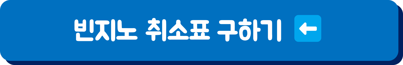 빈지노 콘서트