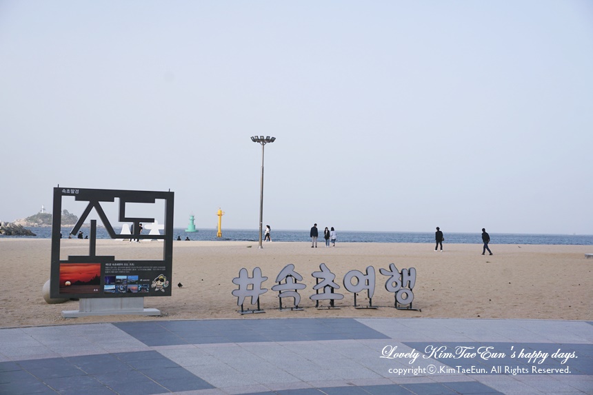 속초 팜파스리조트 강원도 숙소 추천 8