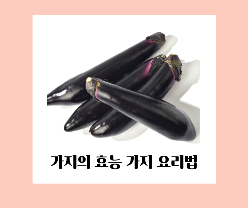 가지 효능 보관법 가지 요리
