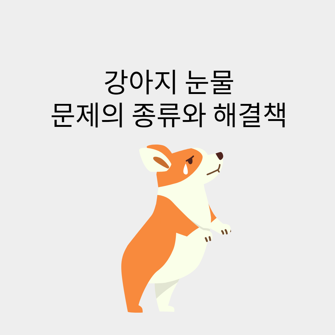 강아지 눈물 종류