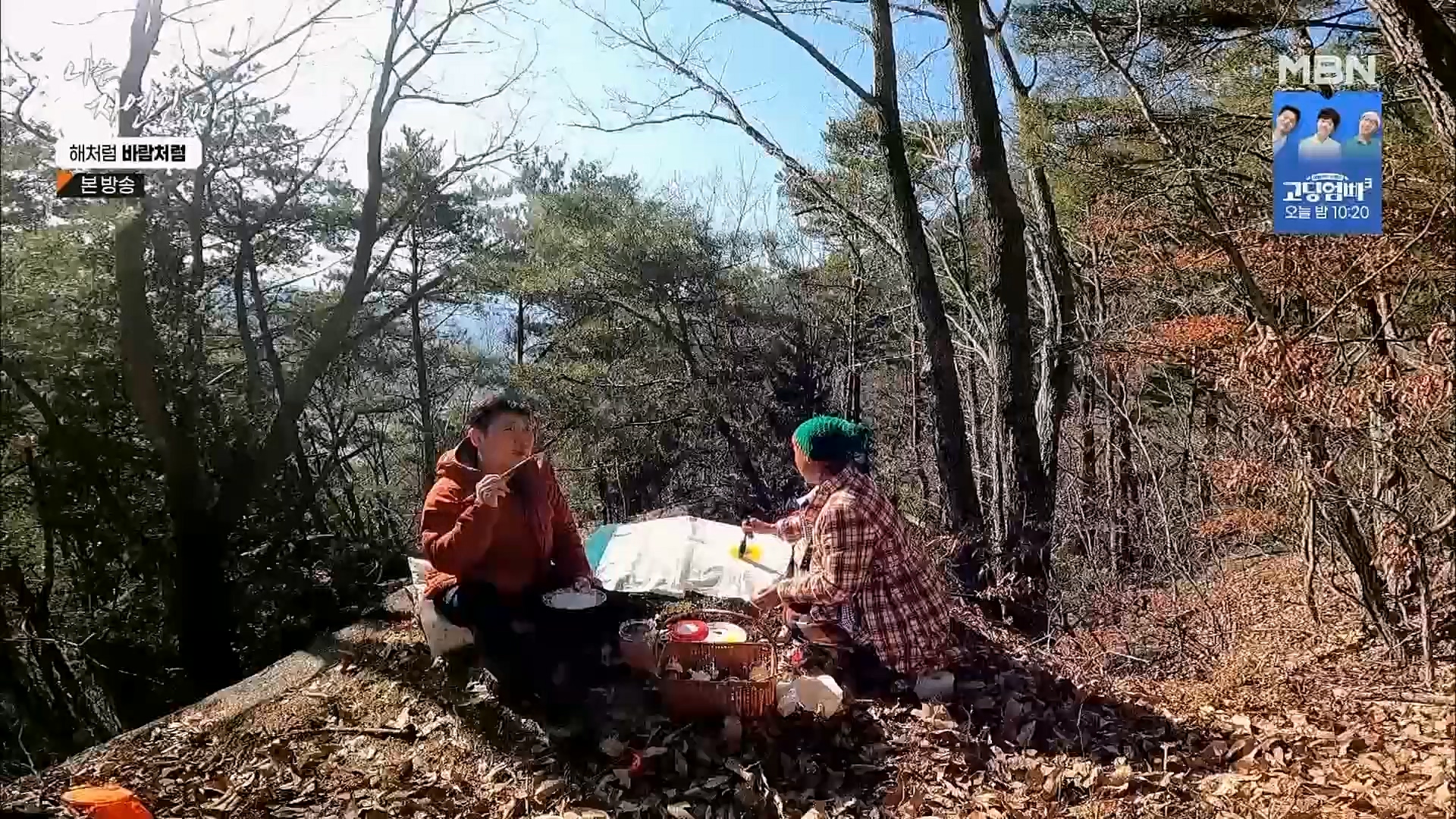 나는 자연인이다.E542.230222p.H264-F1RST.mp4_20230223_195843.769.jpg