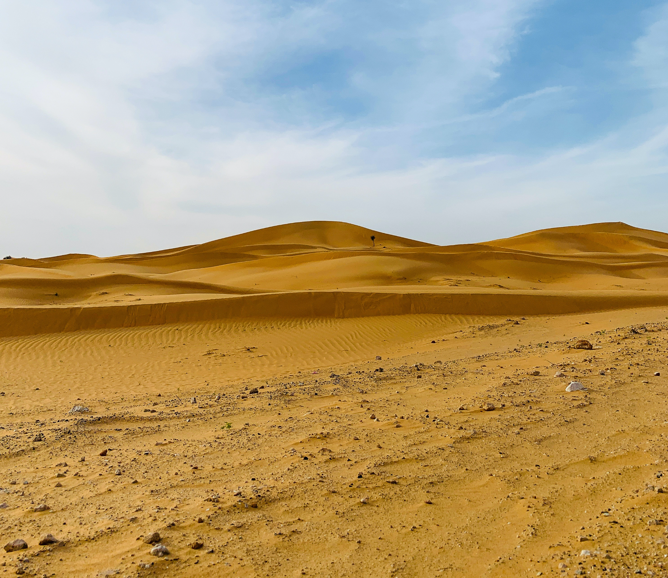 Gobi Desert