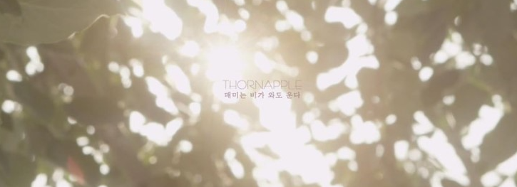  음악추천 쏜애플의 노래로