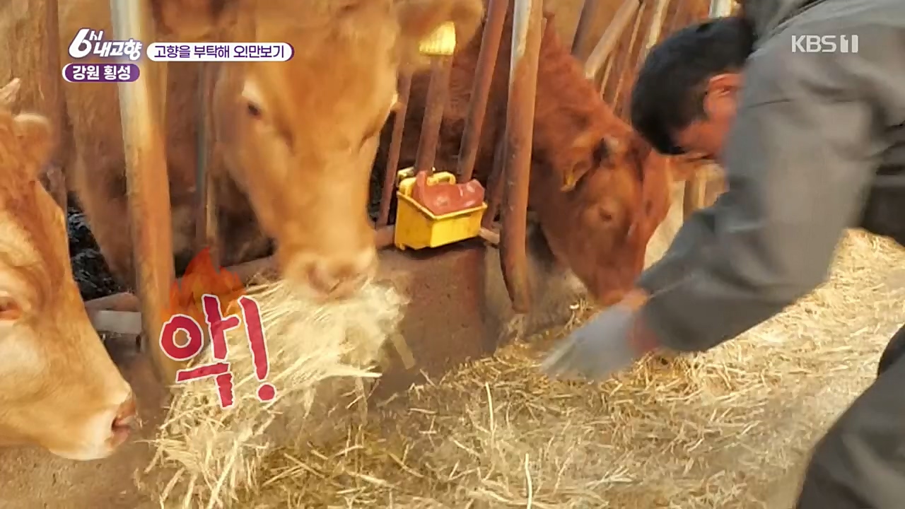 6시 내고향.E7640.221019p.H264-F1RST.mp4_20221020_170057.864.jpg