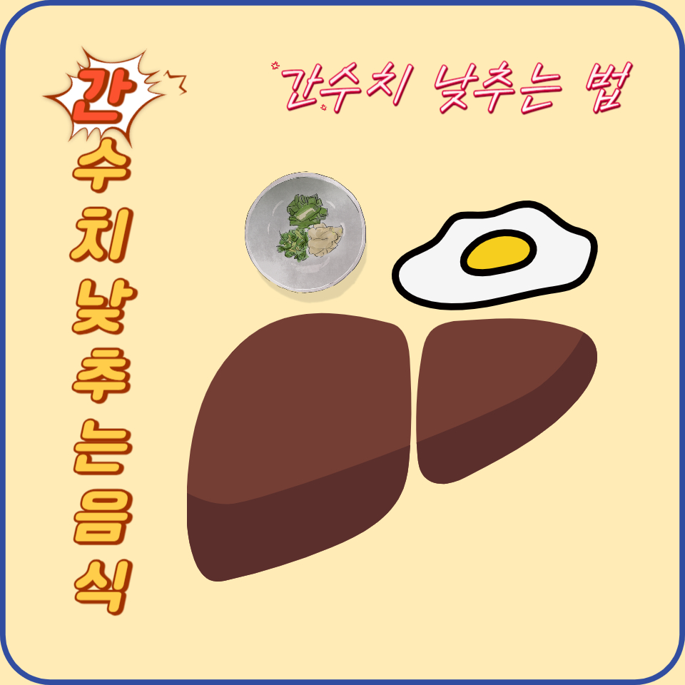  간수치 낮추는 음식 간수치 관리 전략