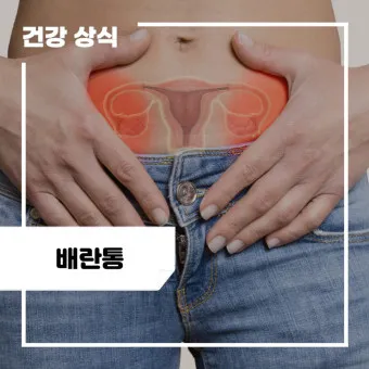 배란통 증상 및 시기 원인_14