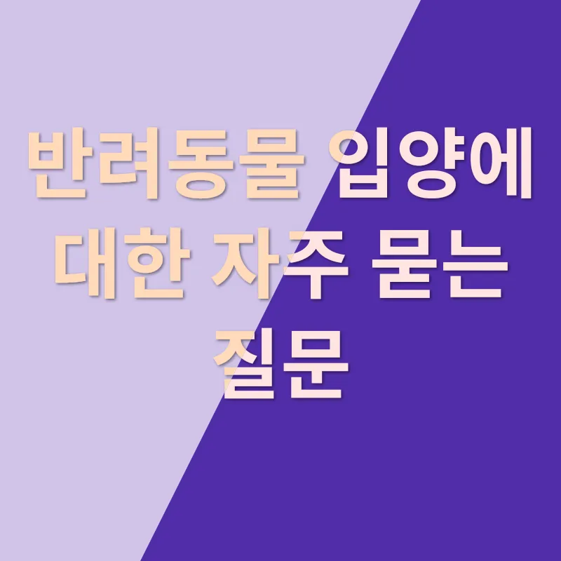 반려동물 입양_4