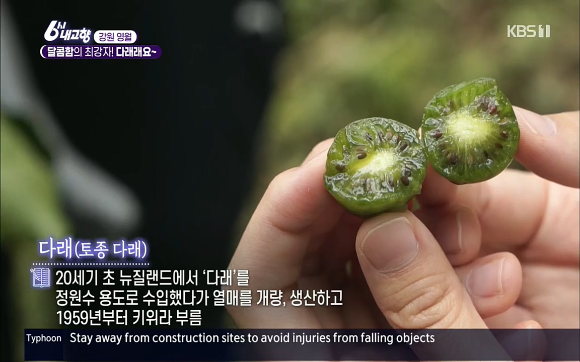 6시 내고향.E7611.220907p.H264-F1RST.mp4_20220908_201238.328.jpg