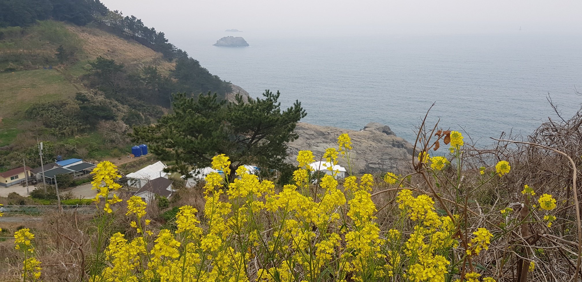 통영 욕지도 천왕산에서