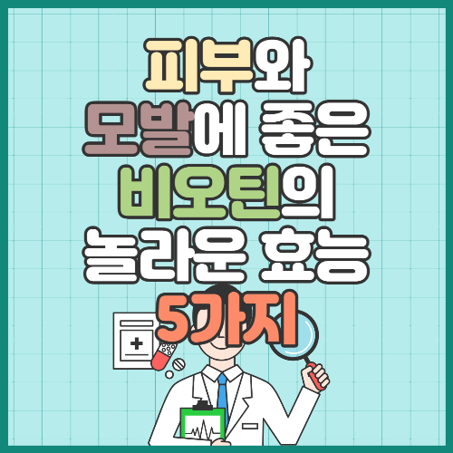 비오틴효능