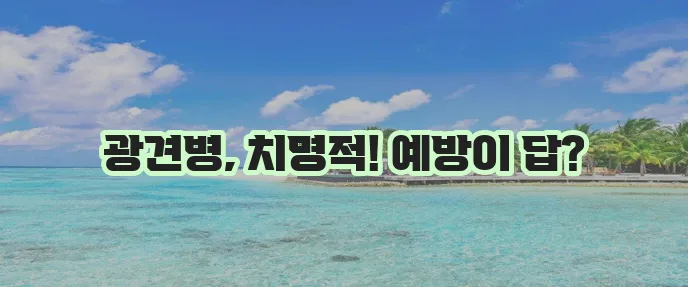 광견병 증상 원인 치료 그리고 예방접종이 중요합니다