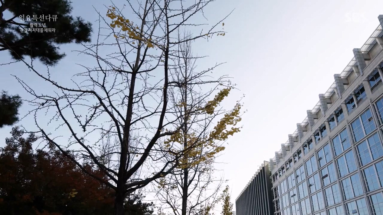 일요특선 다큐멘터리.E343.240304p-NEXT.mp4_20240305_202402.703.jpg