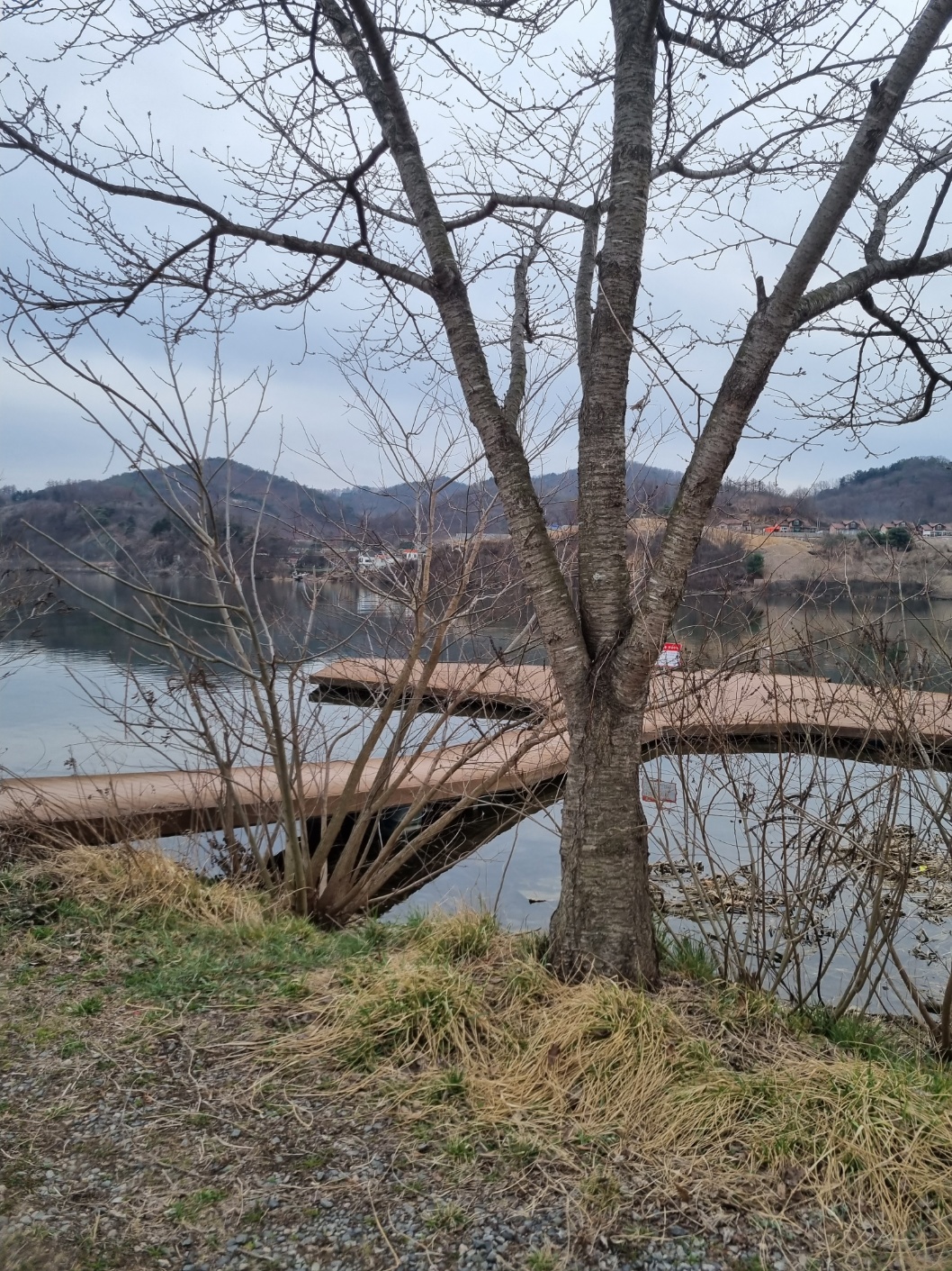 (충주캠핑장) 호수가 보이는 프라이빗한 '탄금호캠핑장' 18