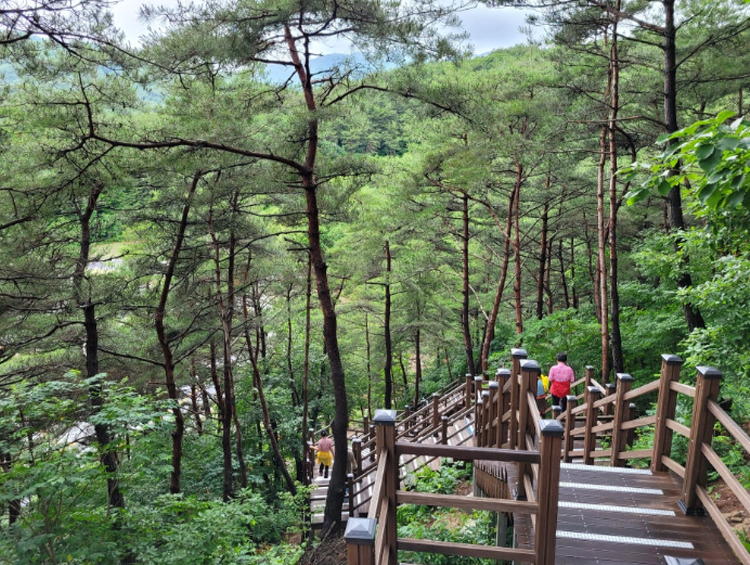 거창 수승대 출렁다리