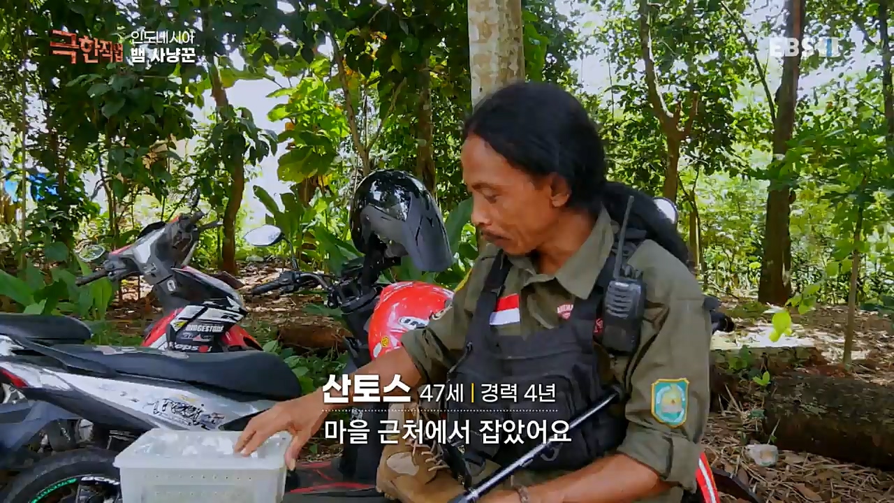 TV - 교육의 중심 EBS인도네시아 뱀사냥꾼.mp4_20221211_181454.586.jpg